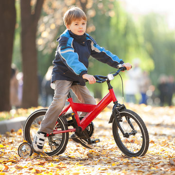 Happy boy with bicycle in the autumn park