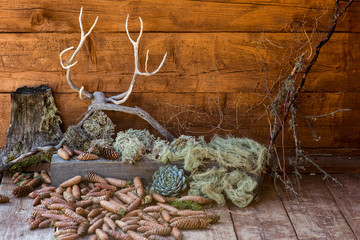 Boho decor and accessories: cones, feather, succulents, horns on the wood 