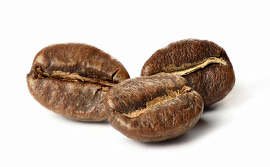 roasted coffee beans. macro