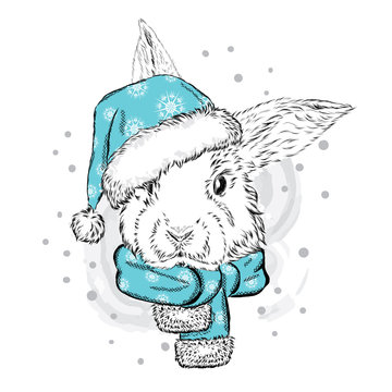 Funny rabbit in Christmas hat. Vector illustration. Christmas and New Year.