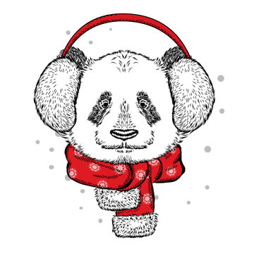Cute panda in the New Year with headphones. Vector illustration. Christmas and New Year.