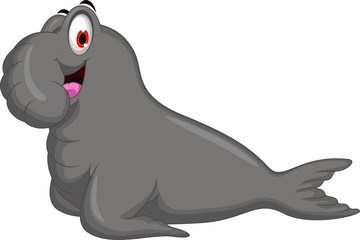 cute Bull Elephant Seal