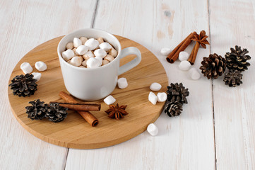 Cup of hot cocoa with marchmallows