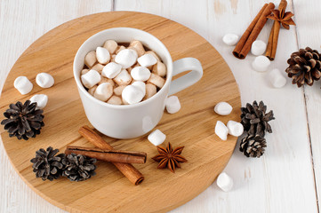 Cup of hot cocoa with marchmallows