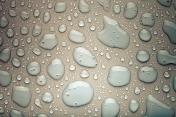 Drops of water on a color background. Gray. Shallow depth of fie