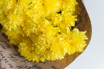 Beautiful bouquet of yellow chrysanthemums in wrapping paper. Golden-daisy. Close up