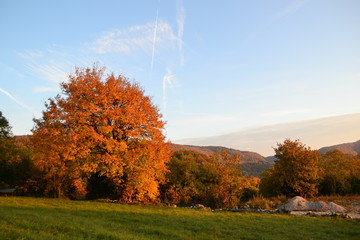 Fototapeta premium Bugey automne