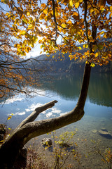 Herbst am Leopoldsteinersee in der Steiermark, Österreich