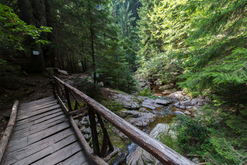 Obraz premium The Canyon of the Waterfalls, Smolyan, Bulgaria