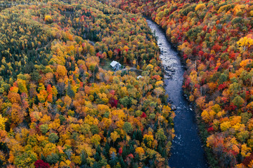 Disconnect, cabin in the woods