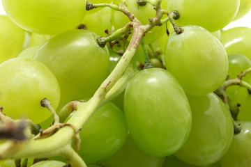 Close-up of fresh muscat grapes