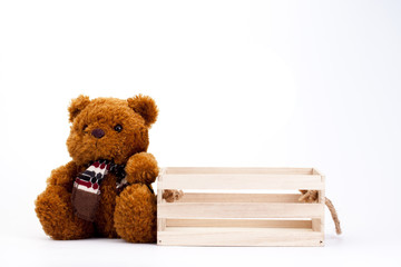 brown teddy bear isolated