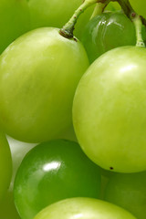 Close-up of muscat grapes. Selective focus