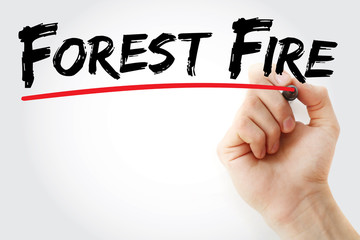 Hand writing Forest fire with marker, concept background