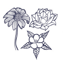 decorative flower icon collection, hand-drawing vector illustration sketch