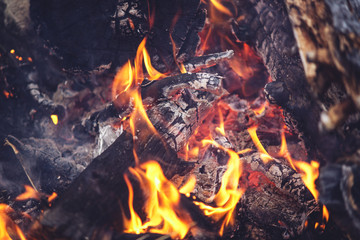 fire burns with a bright flame on the picnic