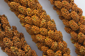 Red millet on silver-gray background. Top view.