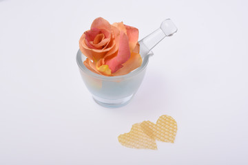 Rose flower petals isolated on white