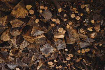 Close-up of firewood