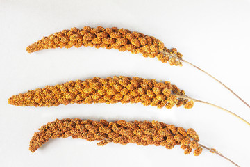Three twig red millet on silver-gray background. Top view