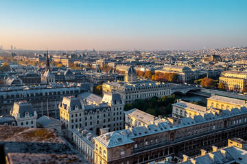 Paris, France view from Notre Dame Cathedral. Sacre-Coeur in the background.