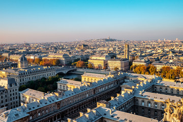 Naklejka premium Paris, France view from Notre Dame Cathedral. Sacre-Coeur in the background.