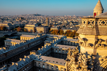 Fototapeta premium Paris, France view from Notre Dame Cathedral. Sacre-Coeur in the background.