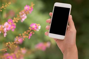 hand holding phone isolate on blur garden background
