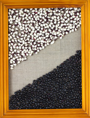 Beans of different colors in the portrait frame. Top view.
