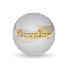 Develop icon