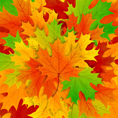 Naklejka na ściany i meble Autumn background with leaves
