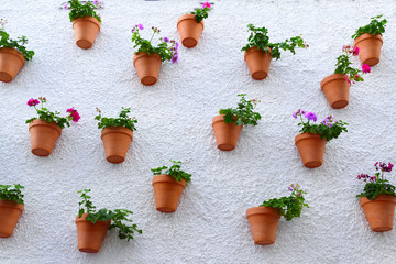 decoracion en la calle, tiestos con flores en la pared en alicante valencia
