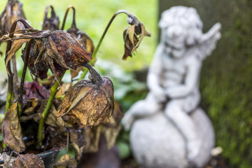 Verwelke Blumen neben einem Engel an einem Grab