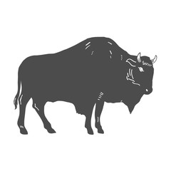 Hand Drawn Buffalo Illustration isolated on white. Vector