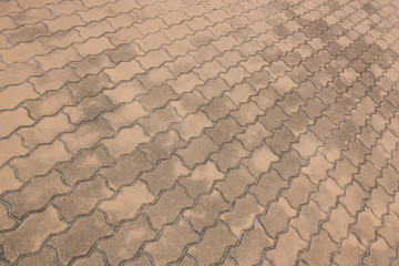 Brick worm or Bricklaying worm on the walkway, Shooting angle in obliquely.