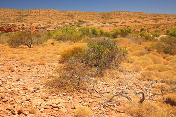 Mandu Mandu Gorge, Cape Range, Australia