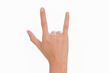 Hands as a  shape on white background - love concept