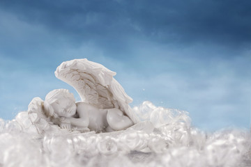 Little angel in the wings