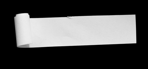 white paper, copy space