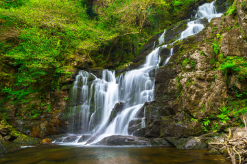 Fototapeta premium Wodospad w Parku Narodowym Killarney, Irlandia