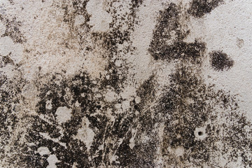 Panele Szklane Podświetlane  Zbliżenie szorstkiej powierzchni piaskowca