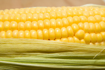 The seeds  fruit of the corn closeup.