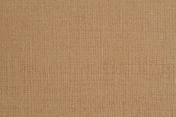 Brown paper texture, dark background