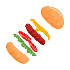 Colorful Burger isolated on with Background. Vector