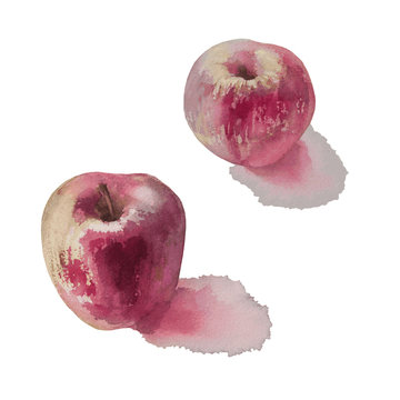 red apples with shadows watercolor