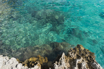 Blue clear sea surface
