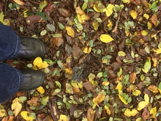 Füsse stehen im Laub im Wald