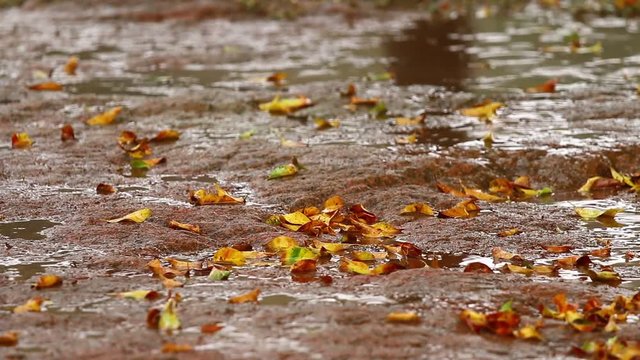 Rain in the mud