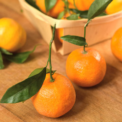 Seasonal fruits. Ripe tangerines around the basket on wooden background