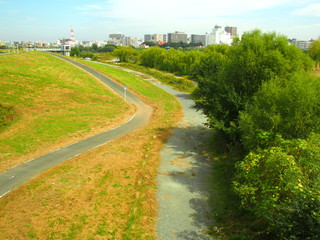 Obraz premium 秋の江戸川河川敷風景